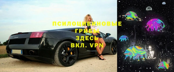 винт Абаза